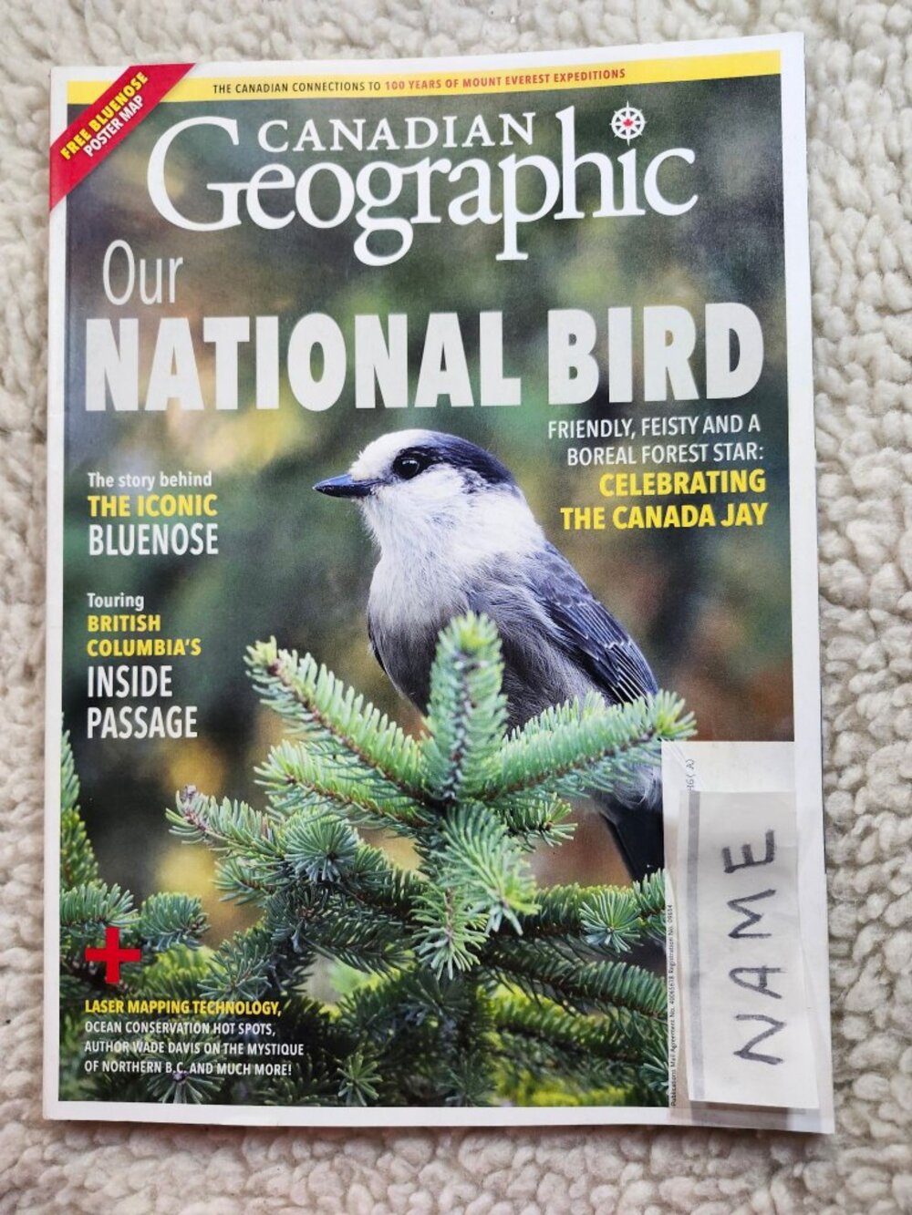 Canadian Geographic Magazine Our National Bird Canada Jay Single Issue Poster